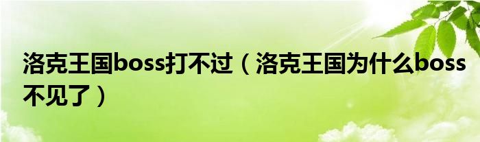 洛克王国boss打不过（洛克王国为什么boss不见了）