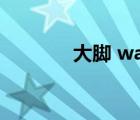 大脚 wa插件（大脚lol插件）