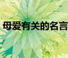 母爱有关的名言名句（关于父母的爱的名言）