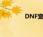 DNF宠物佛拉斯（佛拉斯）