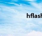 hflashplayer（h flash）