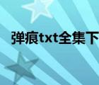 弹痕txt全集下载全本（弹痕txt全集下载）