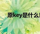 原key是什么意思（cd key是什么意思）