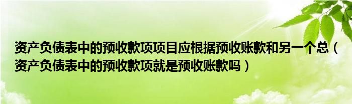 资产负债表中的预收款项项目应根据预收账款和另一个总（资产负债表中的预收款项就是预收账款吗）