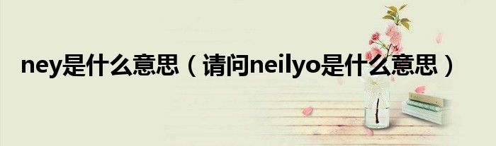 ney是什么意思（请问neilyo是什么意思）