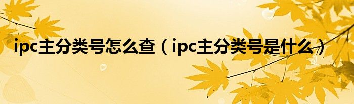 ipc主分类号怎么查（ipc主分类号是什么）