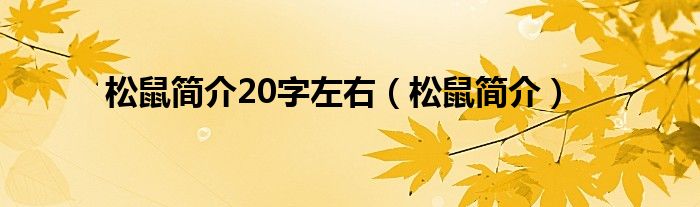 松鼠简介20字左右（松鼠简介）