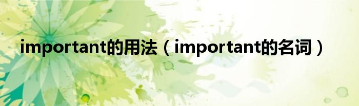 important的用法（important的名词）