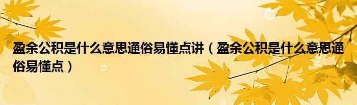 盈余公积是什么意思通俗易懂点讲（盈余公积是什么意思通俗易懂点）