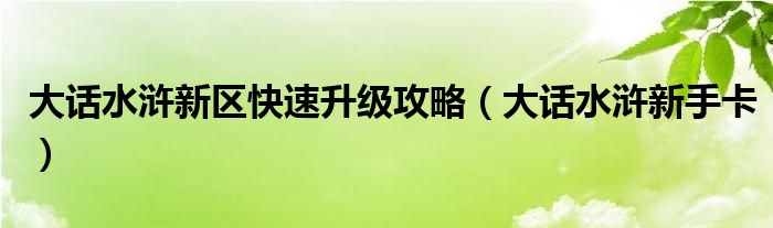 大话水浒新区快速升级攻略（大话水浒新手卡）