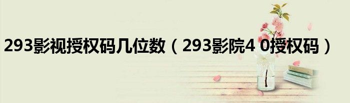 293影视授权码几位数（293影院4 0授权码）