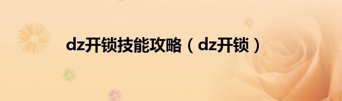 dz开锁技能攻略（dz开锁）