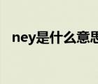 ney是什么意思（请问neilyo是什么意思）