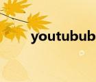 youtubube电脑版（youtubube）