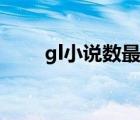 gl小说数最多的网站（gl小说网站）