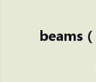 beams（说一说beams的简介）