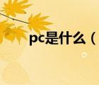 pc是什么（说一说pc是什么的简介）