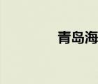 青岛海军中学（青岛海军）