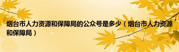 烟台市人力资源和保障局的公众号是多少（烟台市人力资源和保障局）