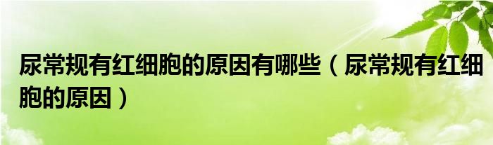 尿常规有红细胞的原因有哪些（尿常规有红细胞的原因）