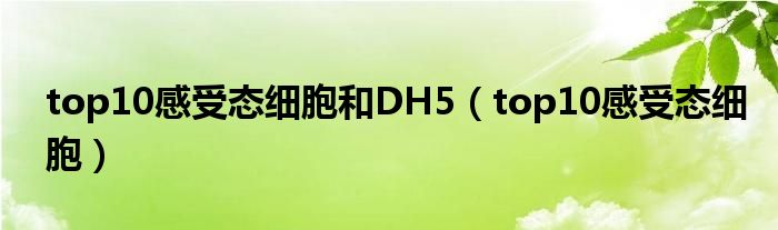 top10感受态细胞和DH5（top10感受态细胞）