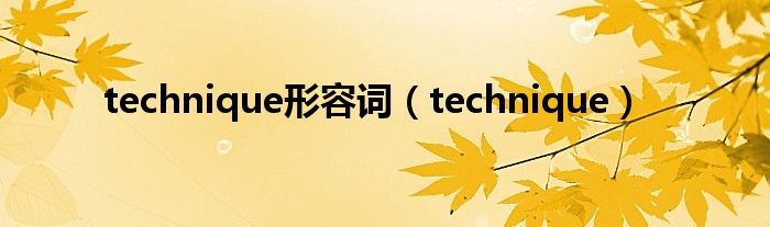 technique形容词（technique）