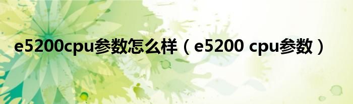 e5200cpu参数怎么样（e5200 cpu参数）