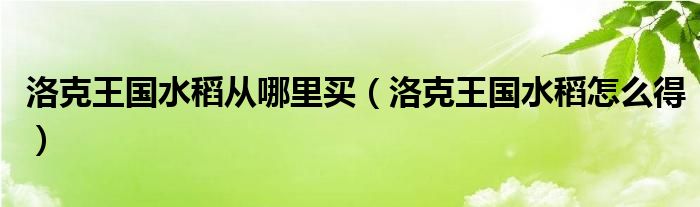 洛克王国水稻从哪里买（洛克王国水稻怎么得）