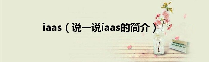 iaas（说一说iaas的简介）