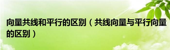 向量共线和平行的区别（共线向量与平行向量的区别）