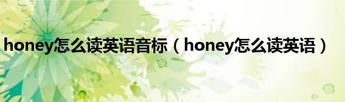 honey怎么读英语音标（honey怎么读英语）