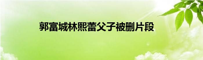 郭富城林熙蕾父子被删片段