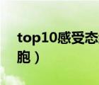 top10感受态细胞和DH5（top10感受态细胞）