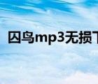 囚鸟mp3无损下载（囚鸟王俊凯mp3下载）