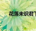 花落未识君下期广播剧（花落未识君）