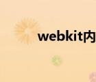 webkit内核下载（webkit内核）