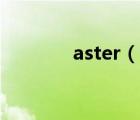 aster（说一说aster的简介）