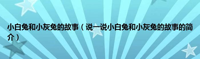 小白兔和小灰兔的故事（说一说小白兔和小灰兔的故事的简介）