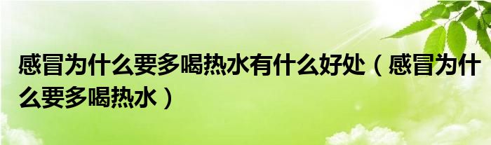 感冒为什么要多喝热水有什么好处（感冒为什么要多喝热水）