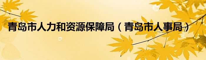 青岛市人力和资源保障局（青岛市人事局）