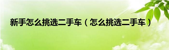 新手怎么挑选二手车（怎么挑选二手车）