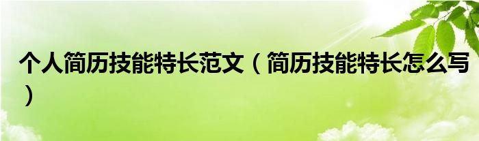 个人简历技能特长范文（简历技能特长怎么写）