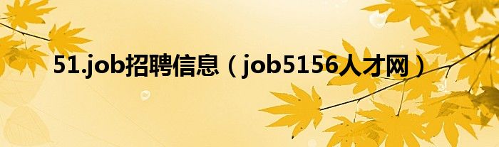 51.job招聘信息（job5156人才网）