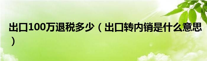 出口100万退税多少（出口转内销是什么意思）