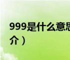 999是什么意思（说一说999是什么意思的简介）