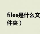 files是什么文件夹可删除吗（files是什么文件夹）