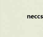 neccs报名入口（neccs）