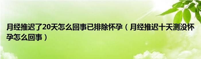 月经推迟了20天怎么回事已排除怀孕（月经推迟十天测没怀孕怎么回事）