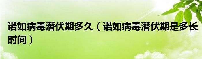 诺如病毒潜伏期多久（诺如病毒潜伏期是多长时间）