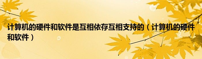 计算机的硬件和软件是互相依存互相支持的（计算机的硬件和软件）